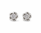 Camellia Blossom Studs