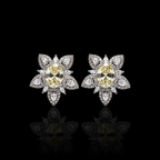 Oval Crystal Starburst Studs