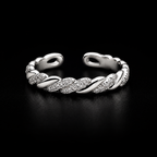 Integrated Crystal Twisted Silver Ring