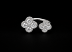 Double Clover Ring