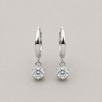 Elegant Curved Hook Earrings