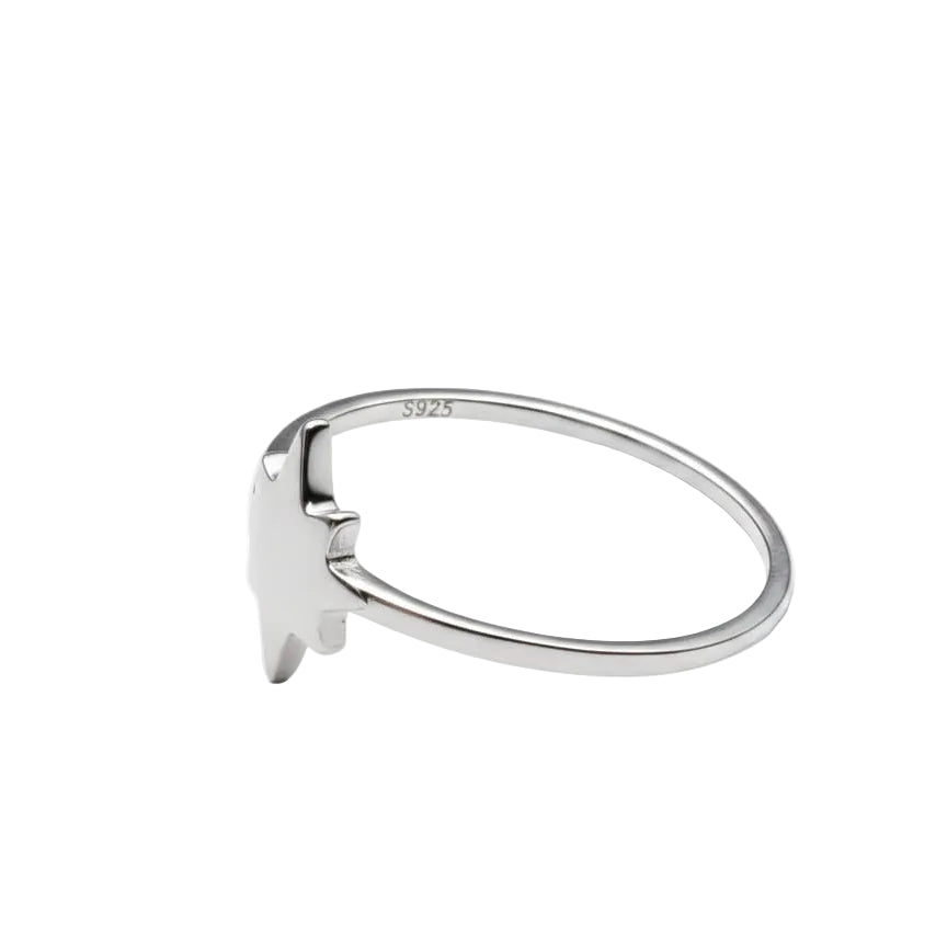 Minimalist Polished North Star Ring